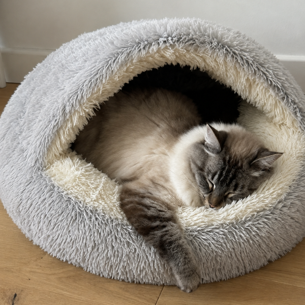 Fluffig grå katt hopkurad i en grottliknande kattsäng av plysch -- ett mysigt, omslutande sovutrymme för att hålla innekatter bekväma i vinter